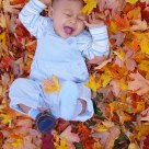 splash of leafs